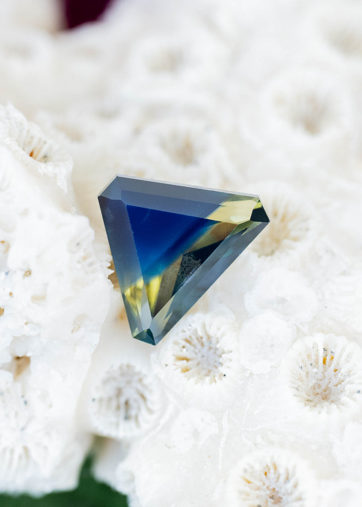Triangular sapphire resting on textured white coral. Its broad center is deep cobalt blue, with yellow and green patches near the corners and dark blue-gray facets framing the stone.