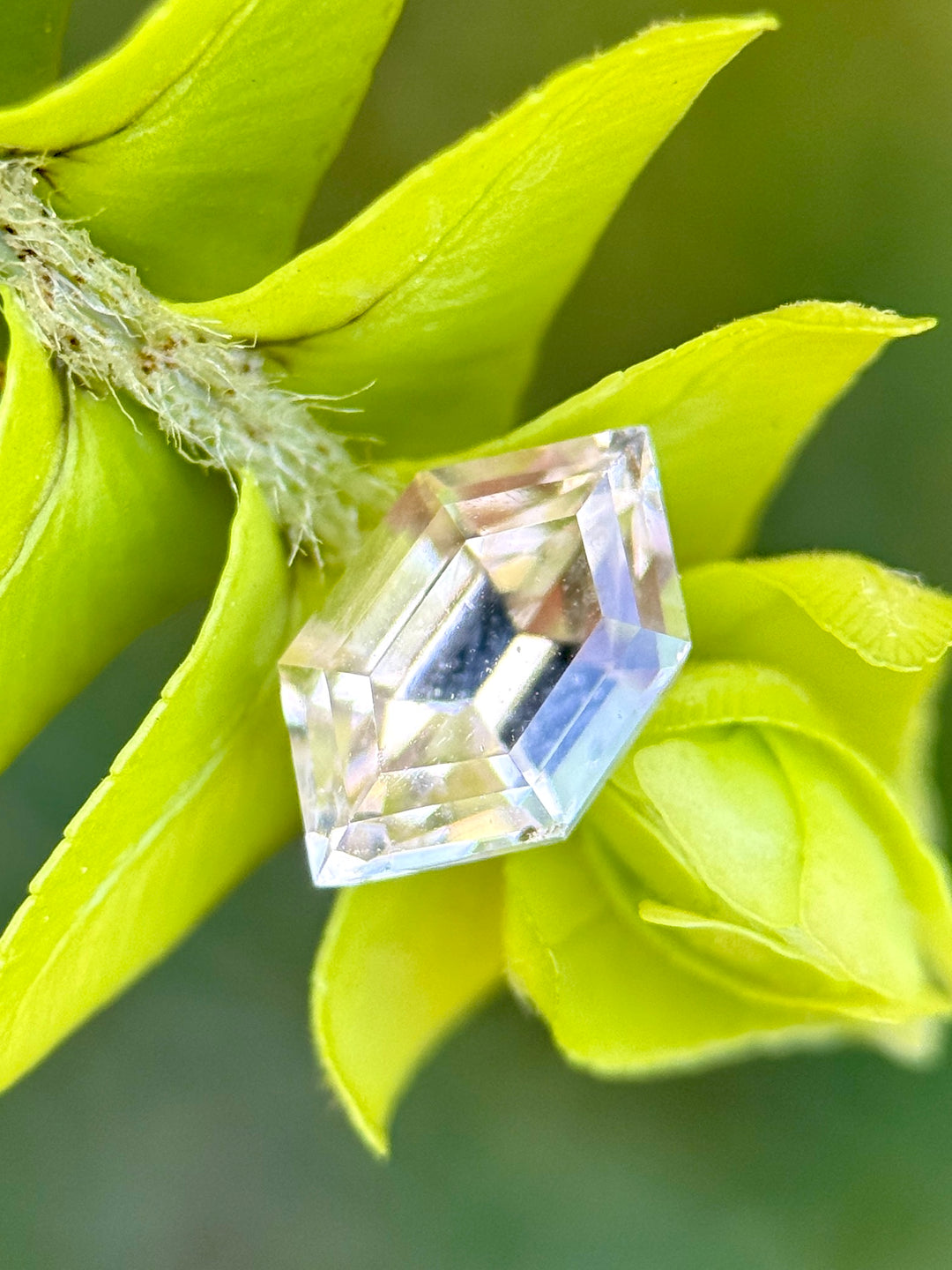 Loose pale yellow gray sapphire hexagon step cut resting on green botanical background, natural unheated Madagascar gemstone.