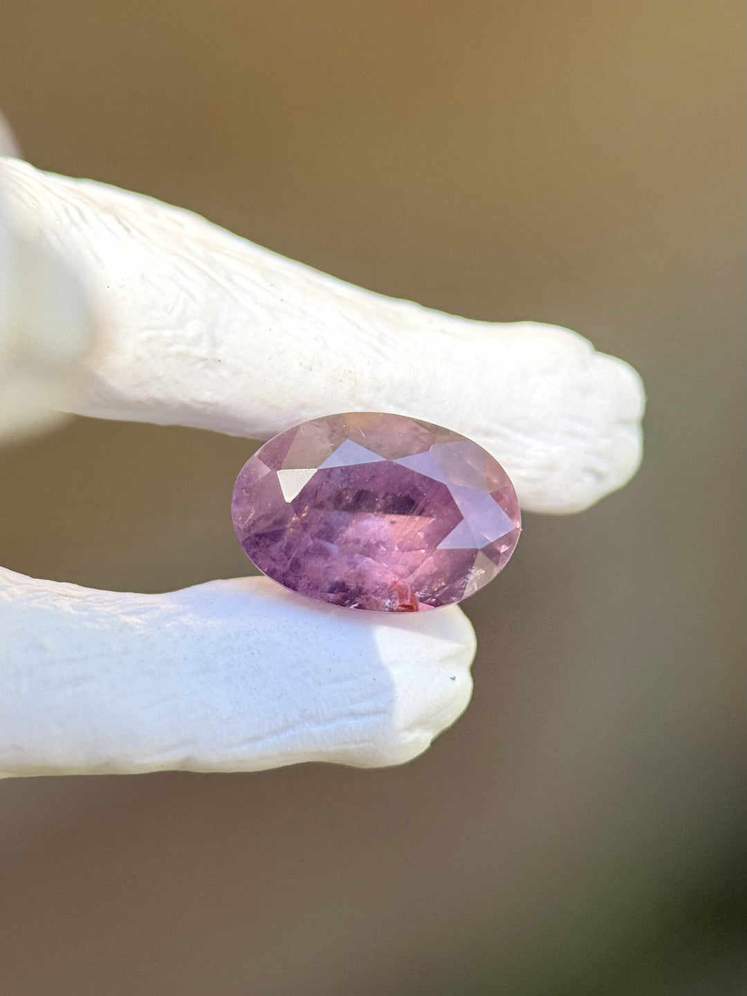 Oval-cut pink and purple sapphire gemstone from Umba River, Tanzania, held in white cat paws under natural light.