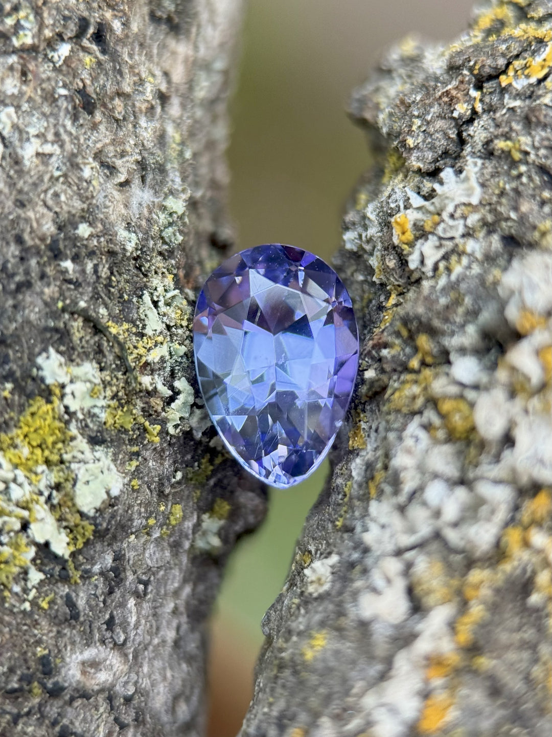 1.40ct precision poval cut Tanzanite with periwinkle and lavender hues nestled in tree bark – natural untreated stone from Merelani Hills, Tanzania