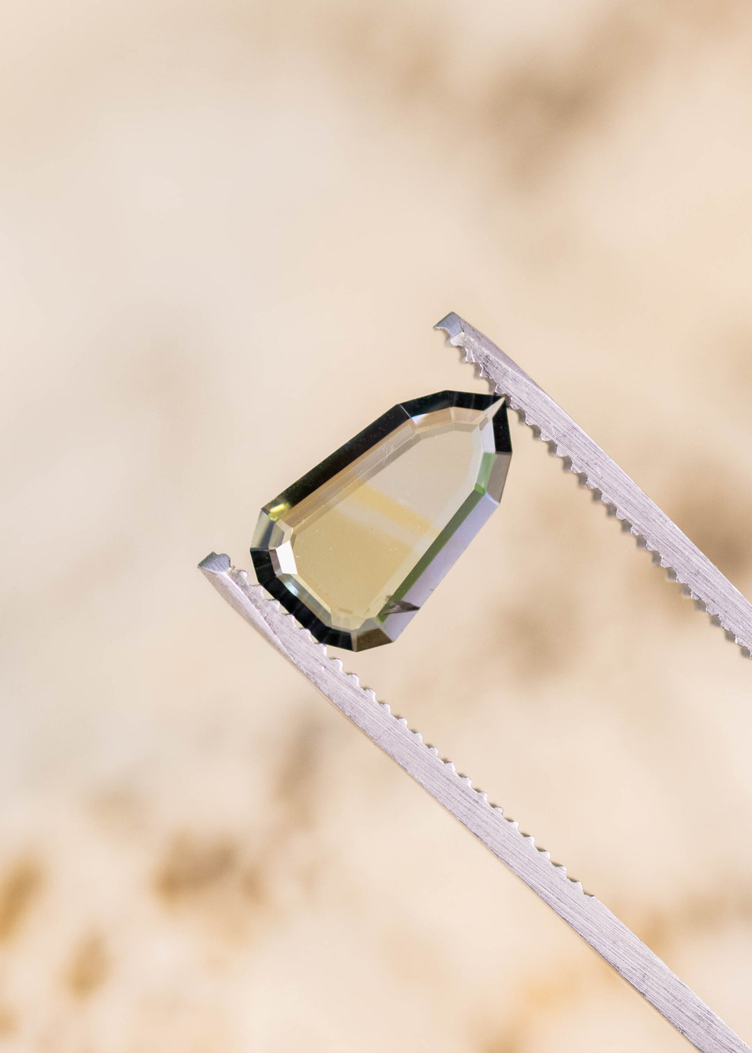 1.42 carat yellow teal green blue Tanzanite shield portrait cut held in tweezers, rare flat faceted gemstone from Merelani Hills Arusha Tanzania displaying transparency, color zoning and modern custom jewelry appeal
