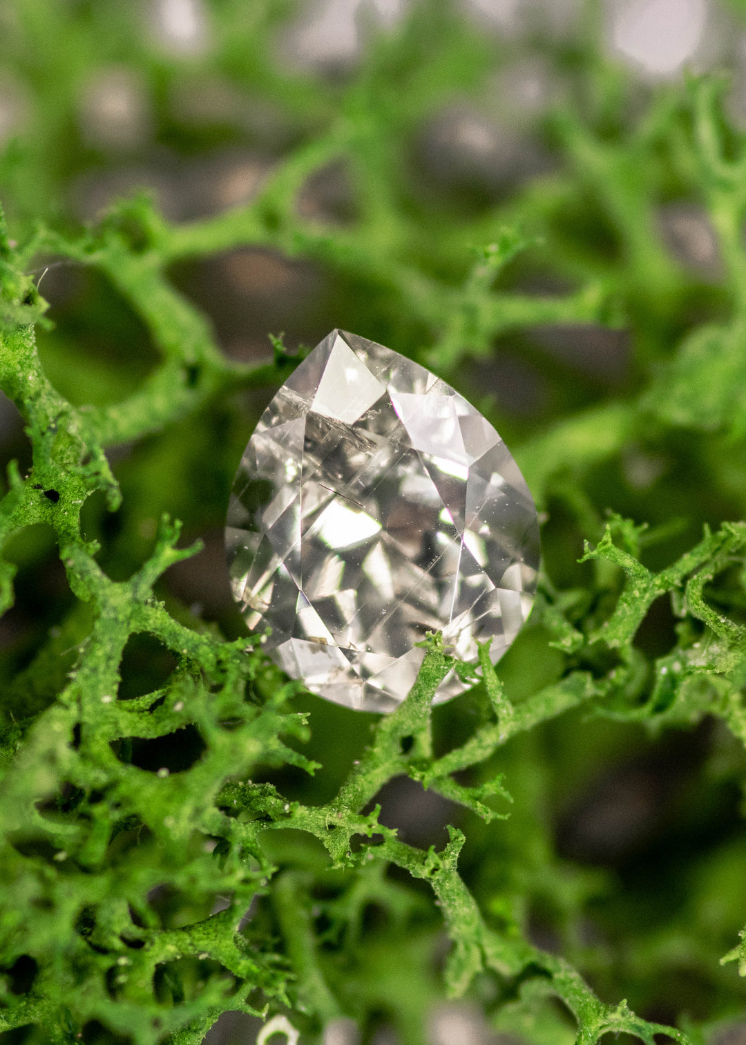 Light teal Montana sapphire in a modified pear cut resting on natural green moss, showcasing crystal clarity, precision faceting, and untreated sapphire color.