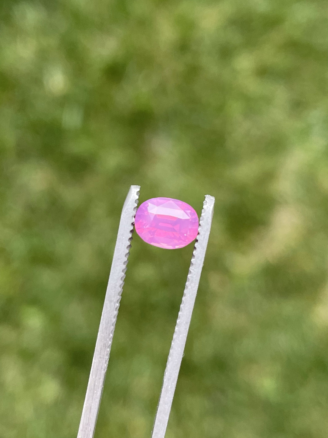 A natural 1.53-carat oval cut sapphire from Sri Lanka held in gemstone tweezers, featuring a reddish purple-pink hue and no treatments.