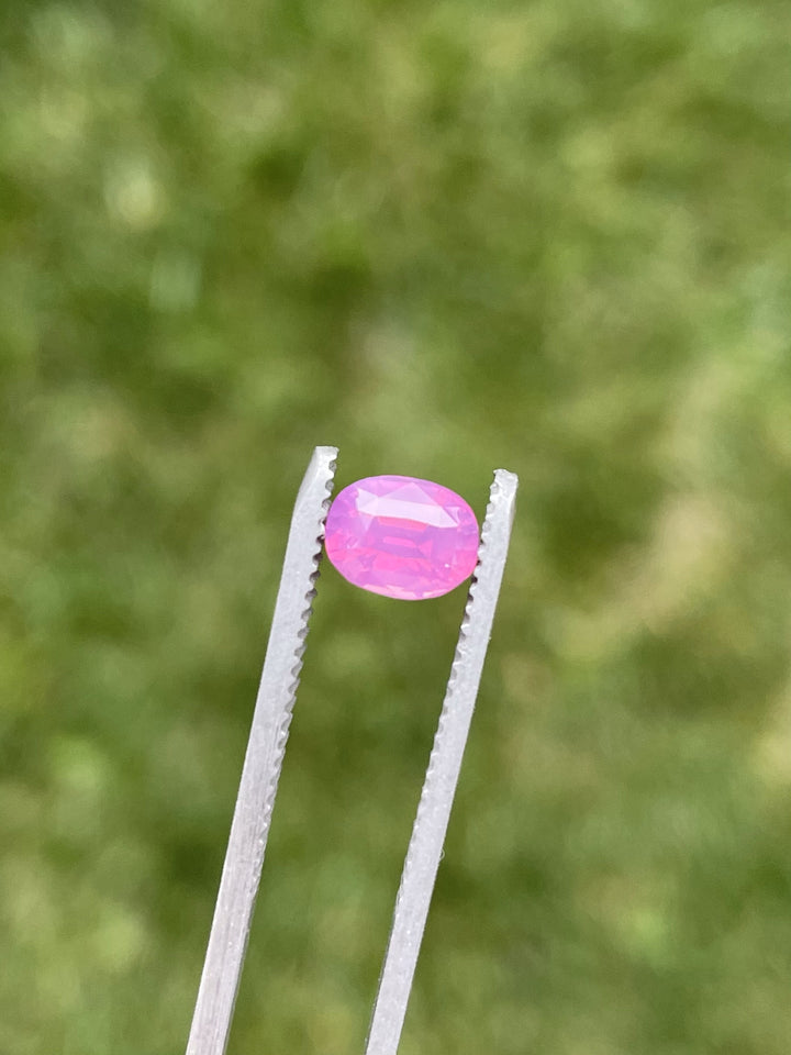 A natural 1.53-carat oval cut sapphire from Sri Lanka held in gemstone tweezers, featuring a reddish purple-pink hue and no treatments.