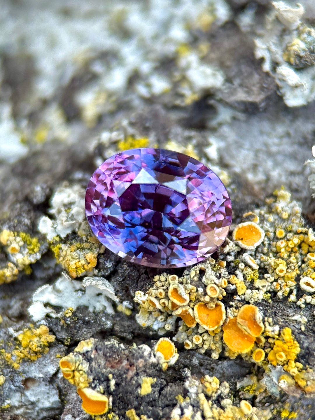 1.55 carat vivid pink purple sapphire shown face-up, displaying precision oval faceting, natural blue parti color zoning,  and rich natural color from Sri Lanka.