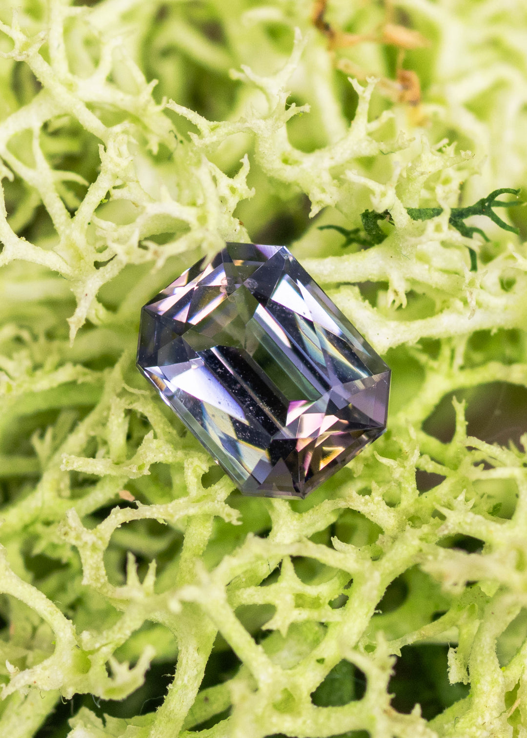1.56 carat purple champagne teal Tanzanite custom modified radiant displayed on natural stone surface, Merelani Hills Tanzania gemstone showing crisp beveled corners, precision faceting and vivid trichroic color shift for custom jewelry