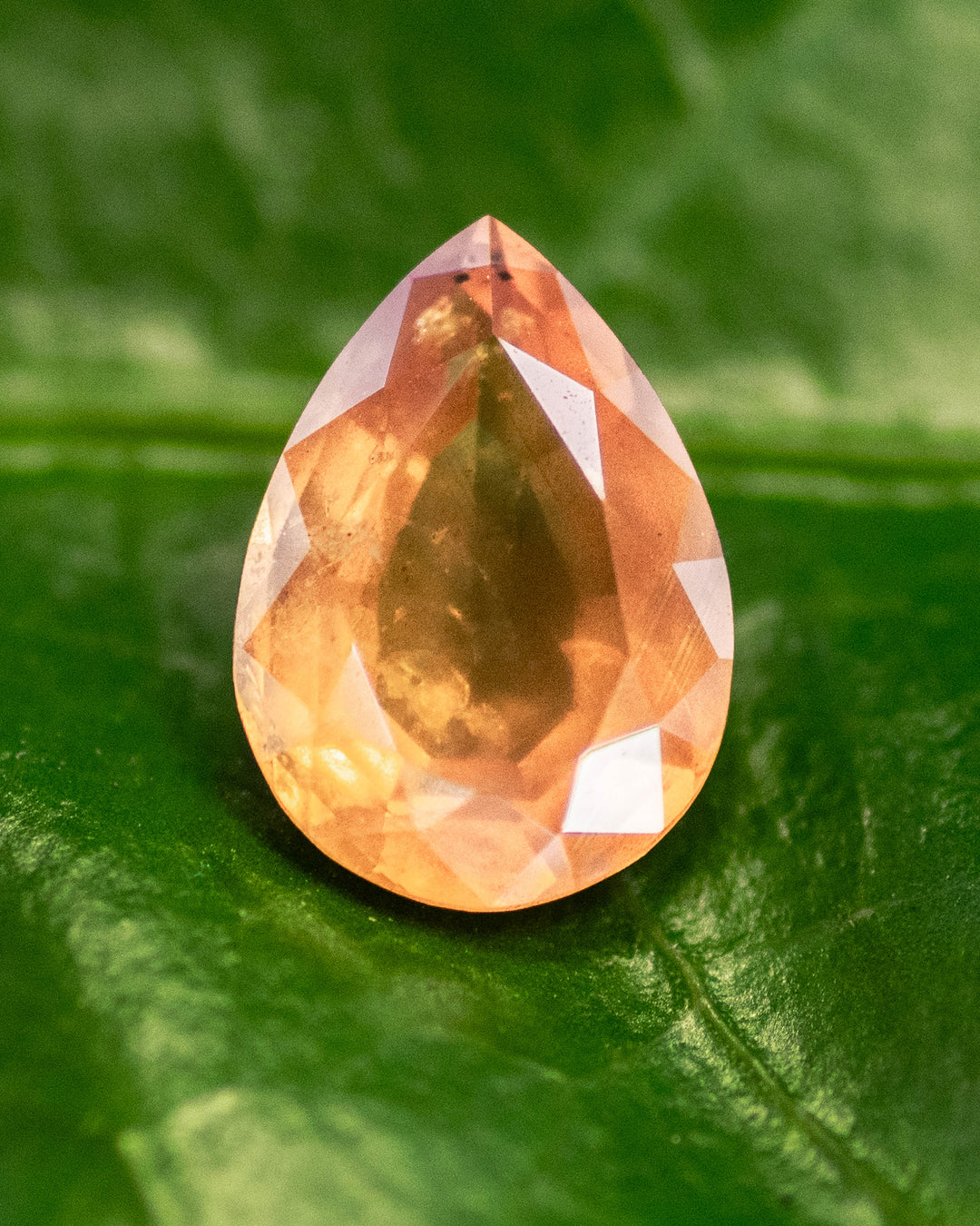 1.59 carat orange sapphire resting on a green leaf, showing vivid red-orange and yellow hues with internal reflections highlighting the brilliance of the modified pear cut, untreated gemstone from Umba River, Tanzania.