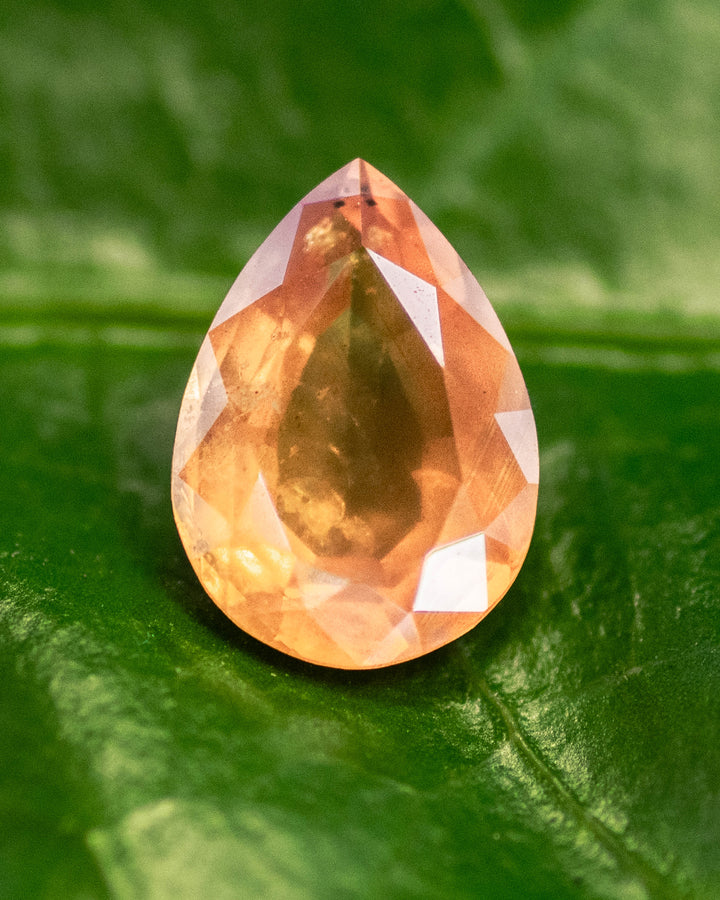 1.59 carat orange sapphire resting on a green leaf, showing vivid red-orange and yellow hues with internal reflections highlighting the brilliance of the modified pear cut, untreated gemstone from Umba River, Tanzania.