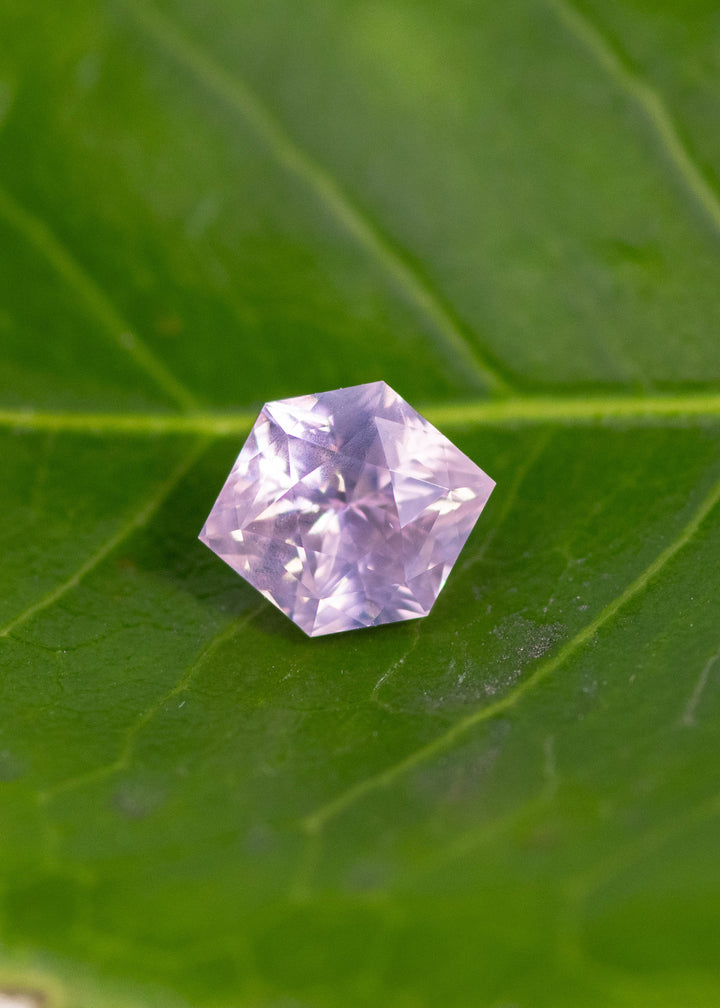 Opalescent pink hexagonal Sri Lankan sapphire laid face up on bright green leaf displaying precision faceting