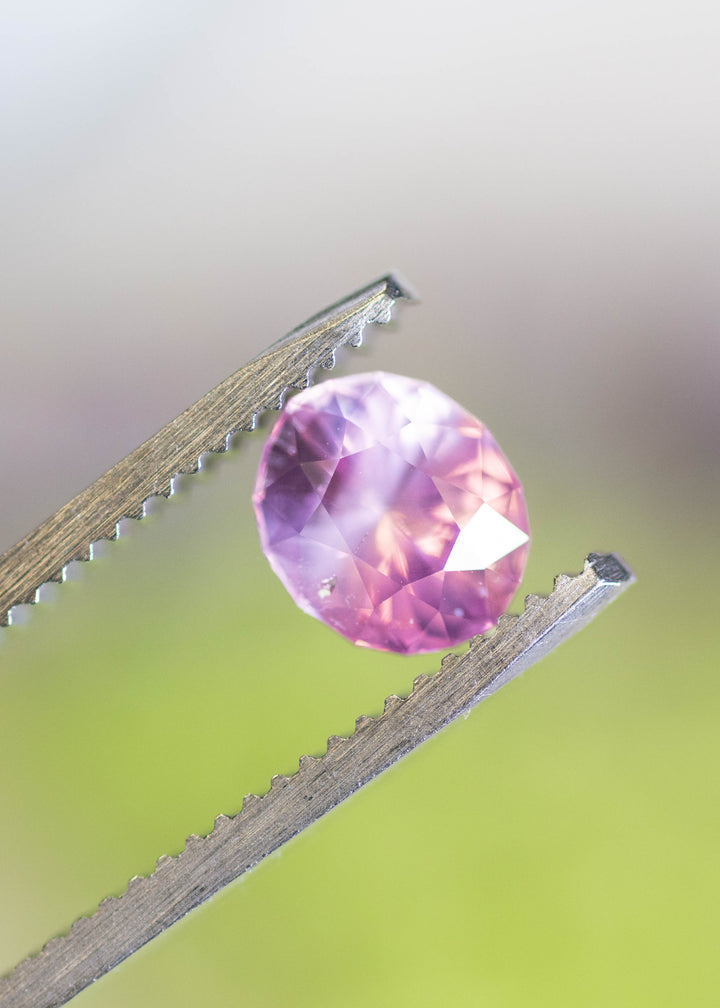 1.61ct unheated vivid pink oval sapphire held in tweezers showing opalescent glow