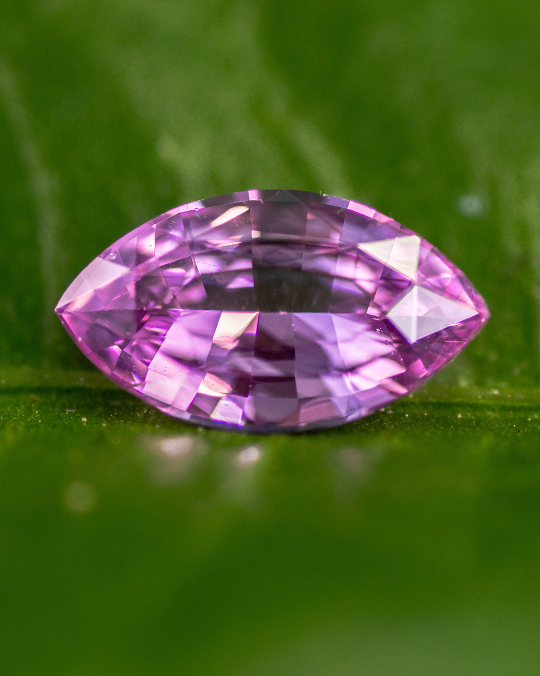 1.65 carat vivid hot Barbie pink sapphire resting on a green leaf, showing intense saturation and brilliance through the precision marquise mixed cut, untreated gemstone from Sakaraha, Madagascar.
