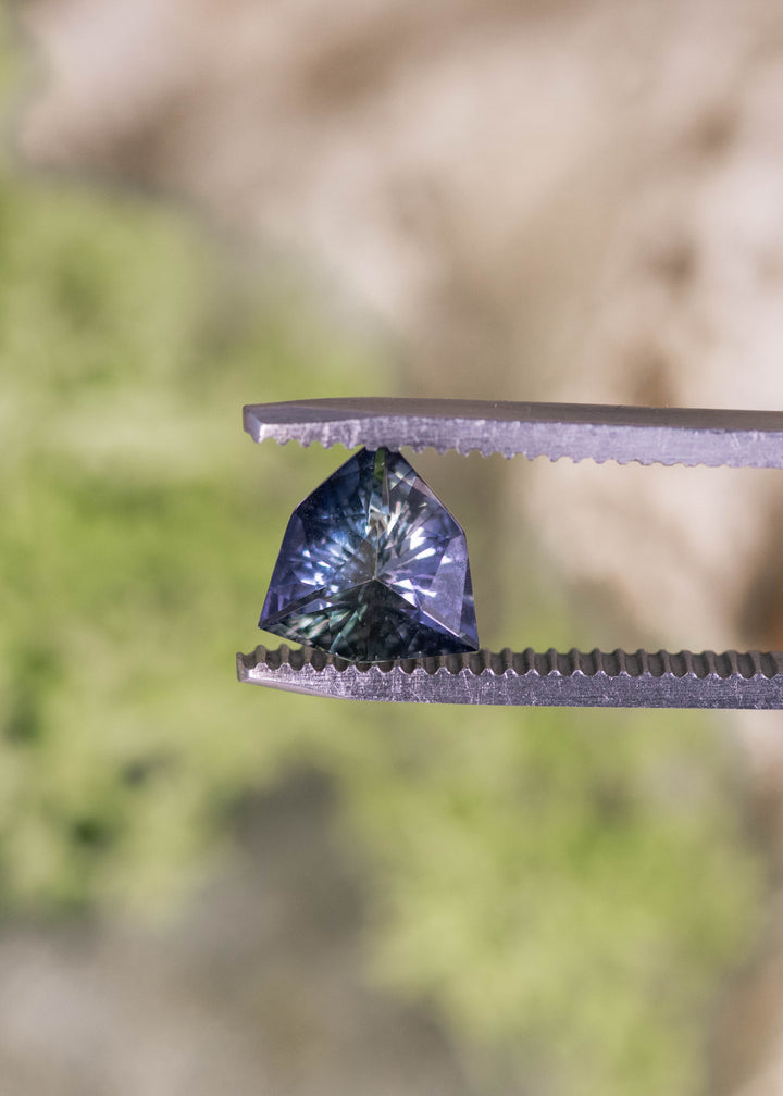 1.66 carat mermaid yellow green teal purple Tanzanite trillion cut held in tweezers, Merelani Hills Arusha Tanzania gemstone displaying crisp angular facets, strong brilliance and dynamic color zoning for designer jewelry settings