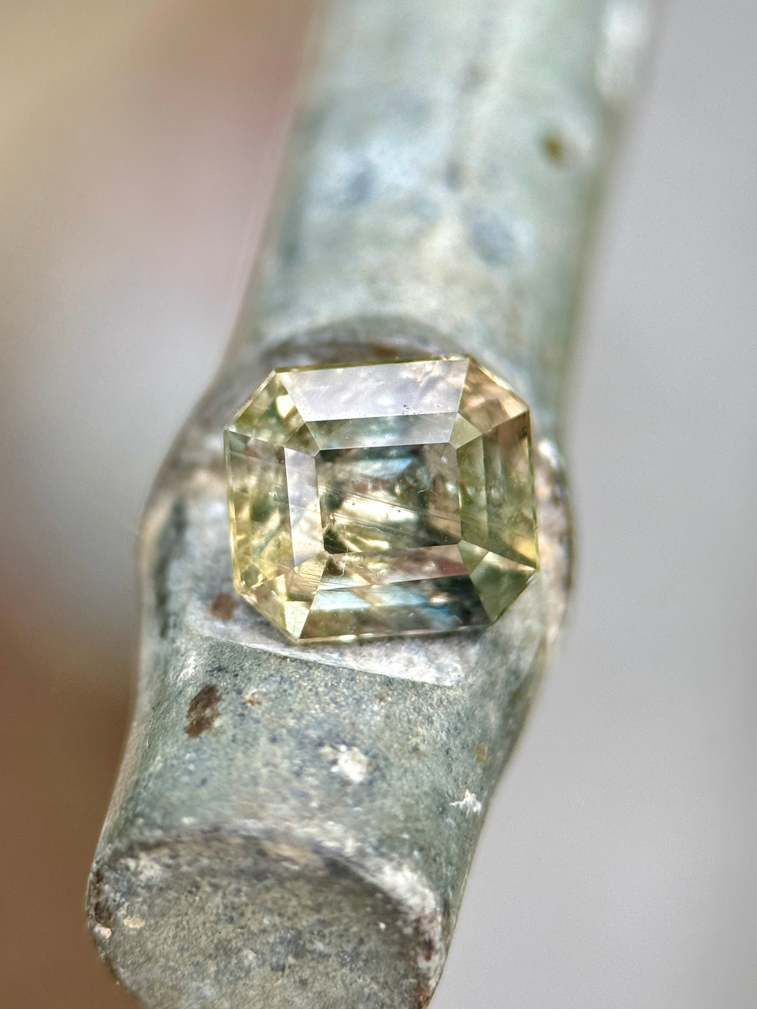1.67 carat color-change sapphire resting on a weathered branch, displaying its earthy green hue in daylight with custom squared emerald cut facets, natural and untreated from Umba River, Tanzania.