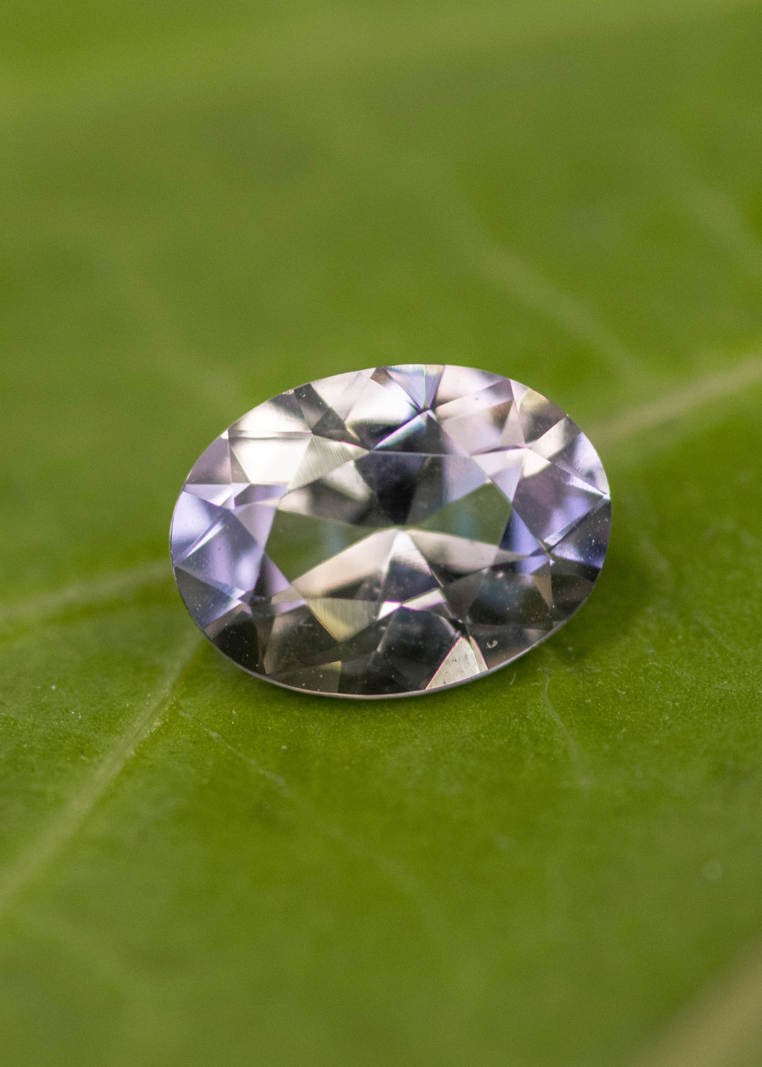 1.69 carat blue purple yellow Tanzanite mix brilliant oval placed on green leaf, Merelani Hills Tanzania origin gemstone highlighting precision faceting, color shift and natural brilliance for bespoke jewelry