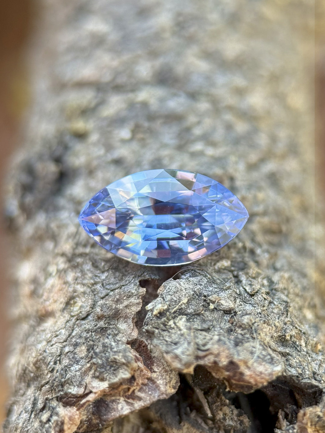 1.70 carat cornflower blue violet sapphire resting on textured bark surface, displaying precision marquise mixed cut brilliance and natural color shift, untreated gemstone from Sakaraha, Madagascar.