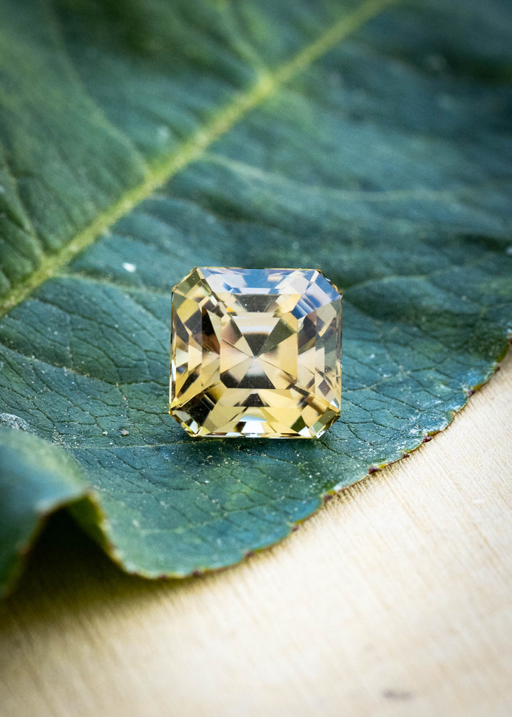 A square cushion-cut yellow gemstone with faceted clarity, resting on a green leaf over a light wood surface.