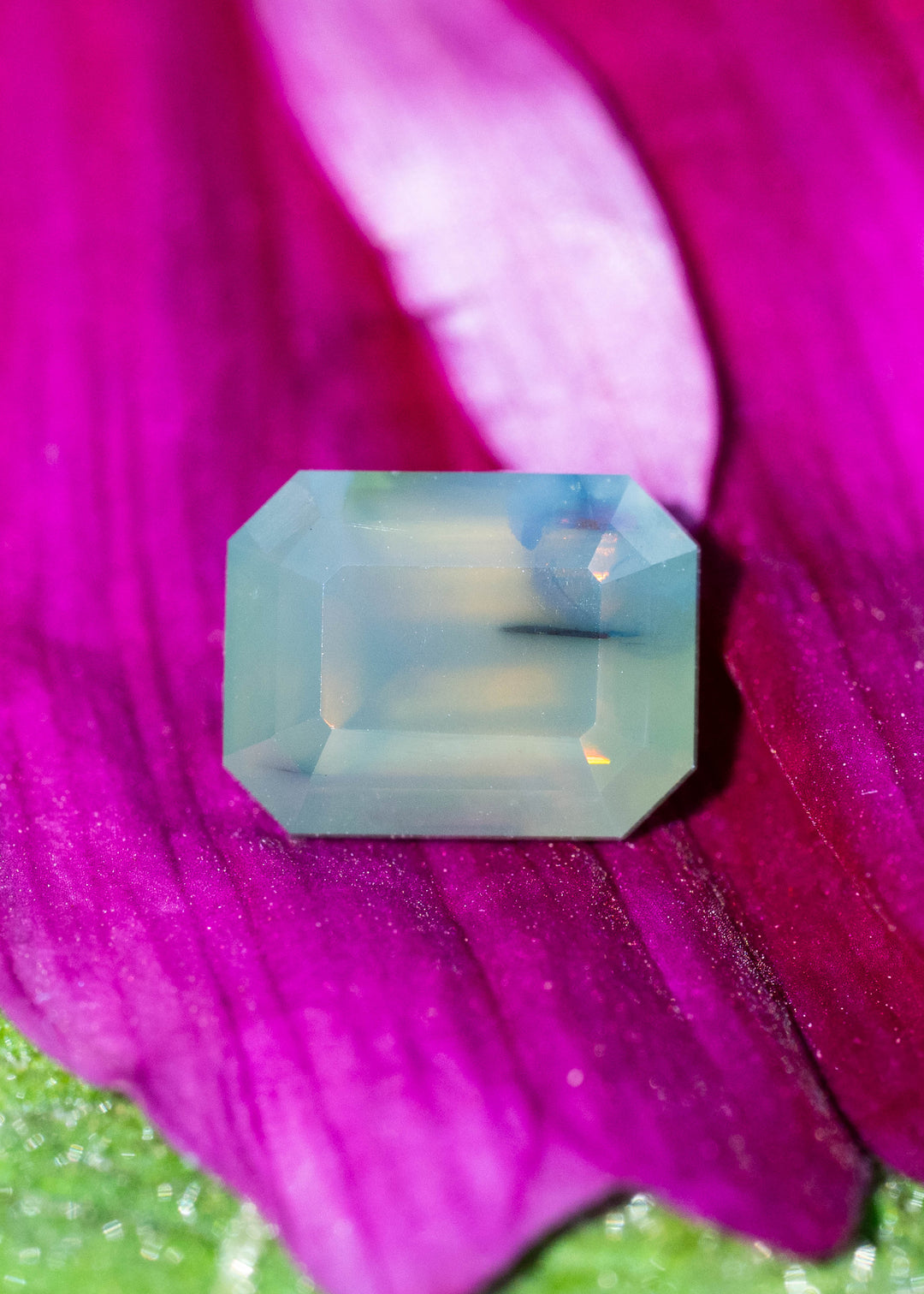 Pale teal-blue rectangular sapphire with clipped corners resting on a vivid magenta flower petal. The stone has a softly clouded appearance, broad step facets and a slender dark inclusion visible near one side.
