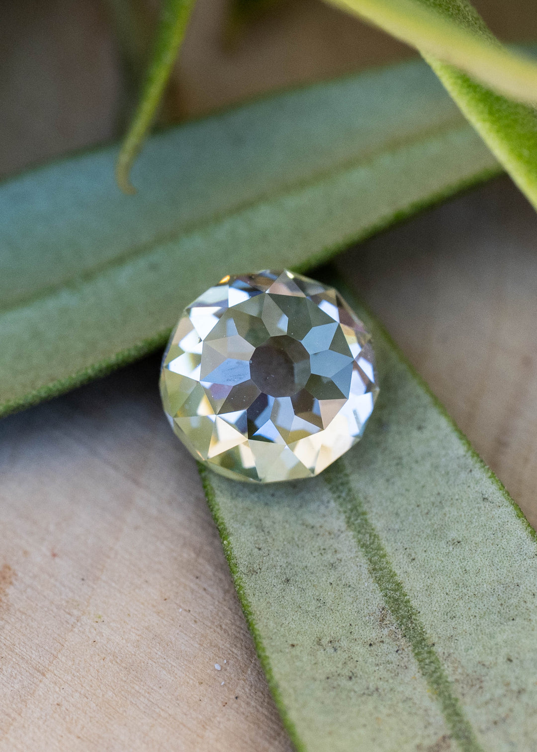 Round Mughal cut diamond resting among green leaves, showing a dark central reflection surrounded by champagne, silver and cool blue flashes.