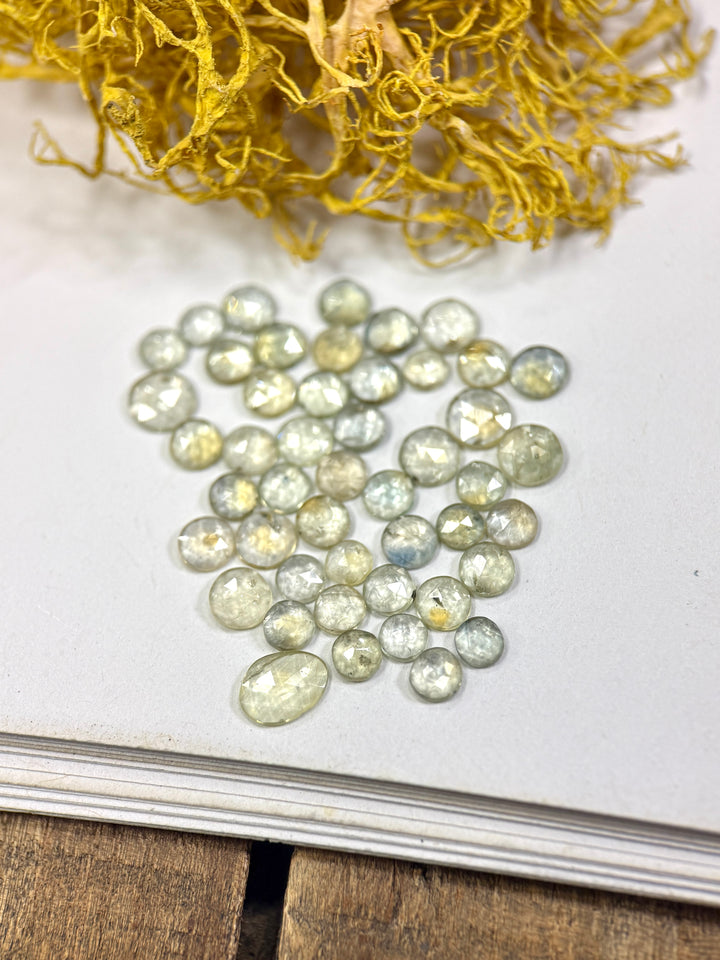 Parcel of 47 natural seafoam teal blue green sapphires from the Eldorado Deposit, Montana, arranged on a white surface with yellow moss accent. Each sapphire features a unique glow and soft transparency from its round rose cut faceting, untreated gemstones totaling 10.95 carats.