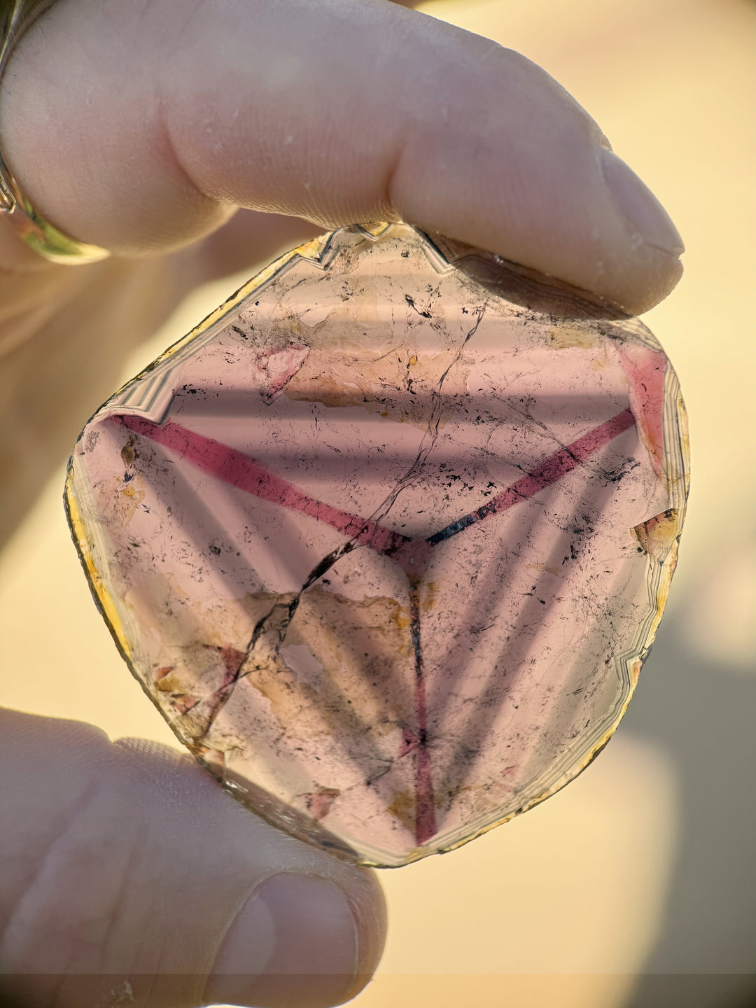 Natural 123.90CT liddicoatite tourmaline slice from Madagascar held against sunlight, displaying geometric color zoning and internal inclusions in gray, pink, and purple tones, untreated crystal.