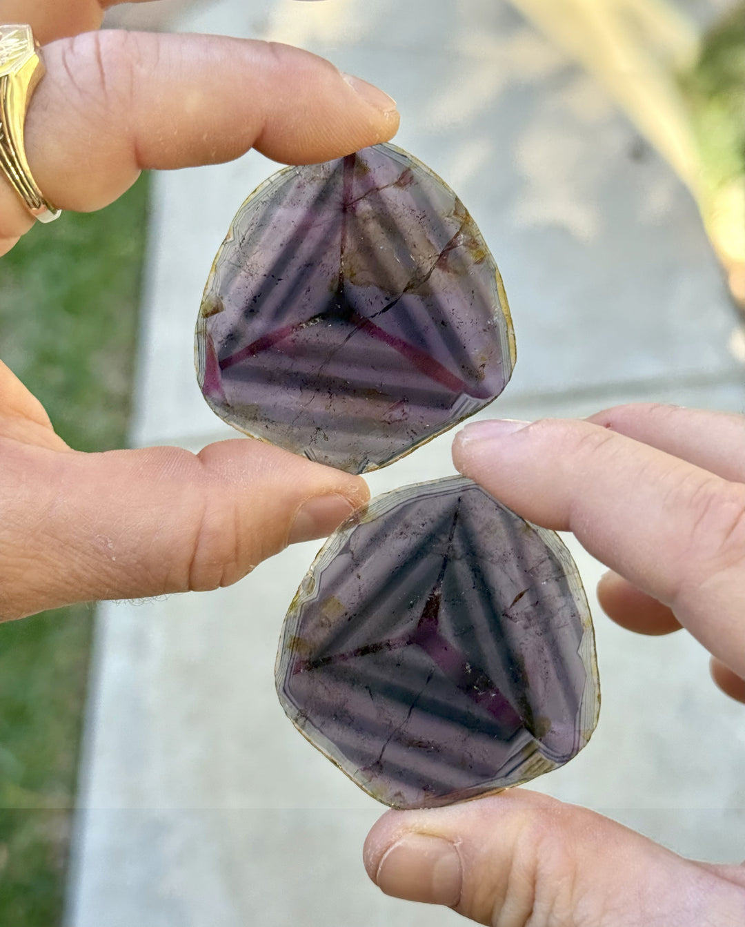 Two natural liddicoatite tourmaline crystal slices displayed on hand in outdoor lighting, showing deep purple and burgundy coloration with layered growth patterns, weighing 123.90 carats combined.