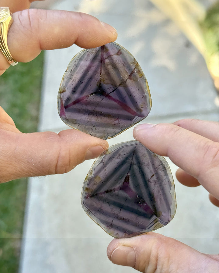 Two natural liddicoatite tourmaline crystal slices displayed on hand in outdoor lighting, showing deep purple and burgundy coloration with layered growth patterns, weighing 123.90 carats combined.