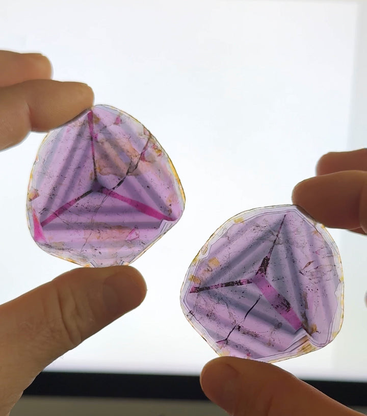 Matched sister pair of liddicoatite tourmaline crystals shown together under backlight, revealing striking symmetry and color transitions from pink to purple and blue, totaling 123.90 carats.