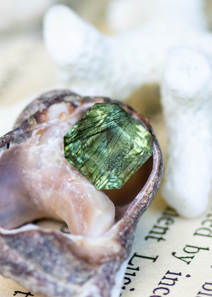 Natural untreated 2.89 carat sage green peridot from Pakistan displayed in a shell, showcasing its custom Asscher cut and delicate natural needle inclusions.