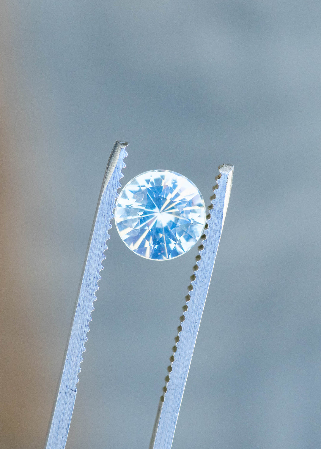 Natural round white opalescent sapphire held in gem tweezers under natural lighting.