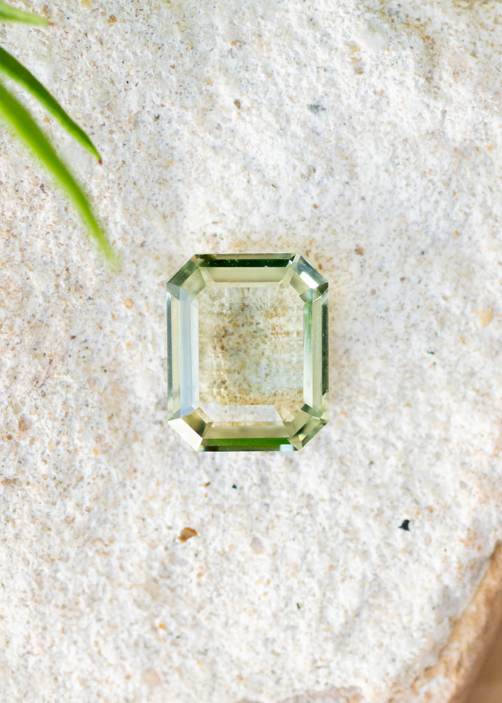 Mint green portrait cut sapphire on a textured white background with foliage coming into frame.