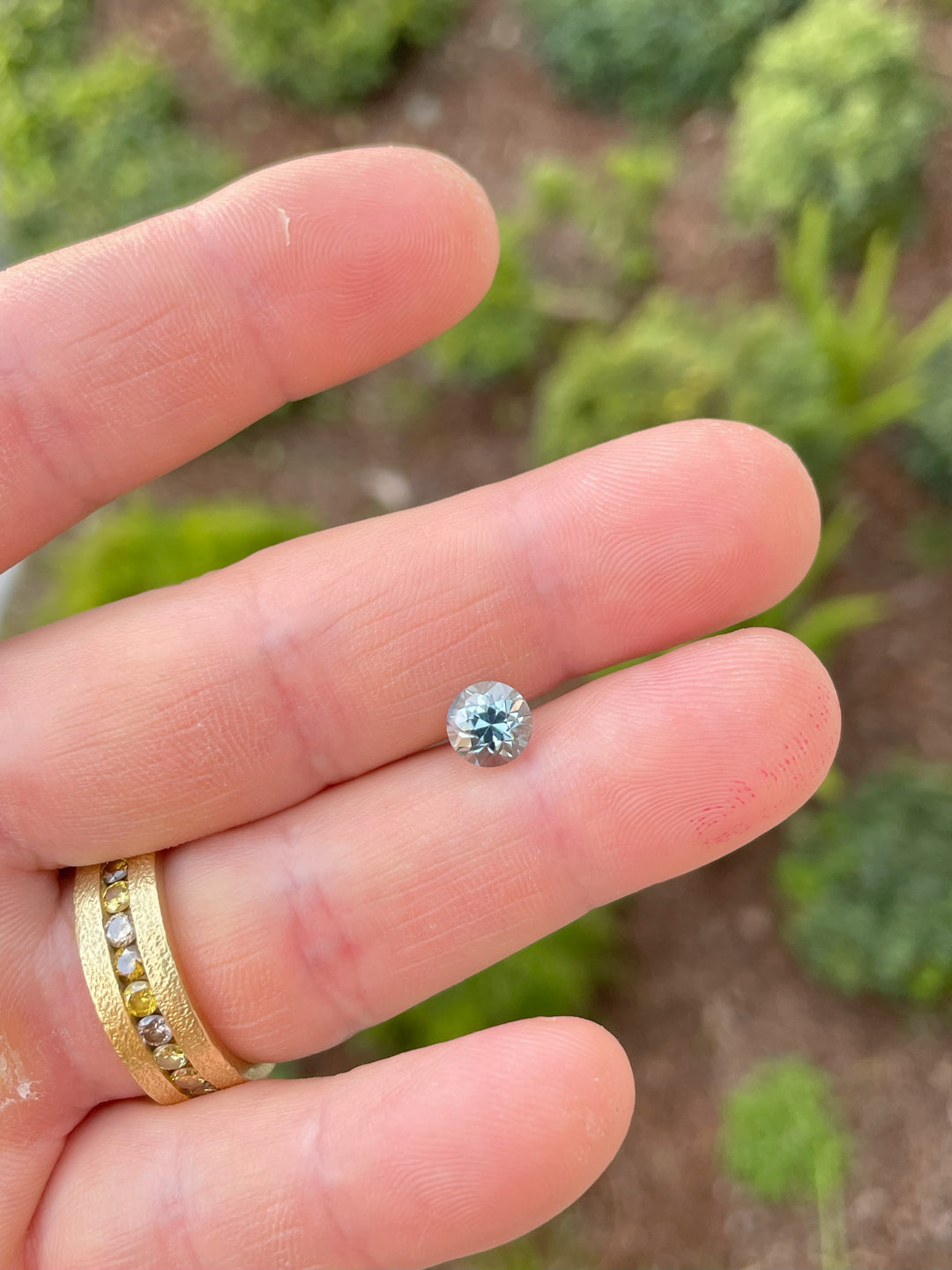 A 2.04-carat round brilliant sapphire with seafoam, green, and teal hues, shown on a hand in natural light with greenery in the background.