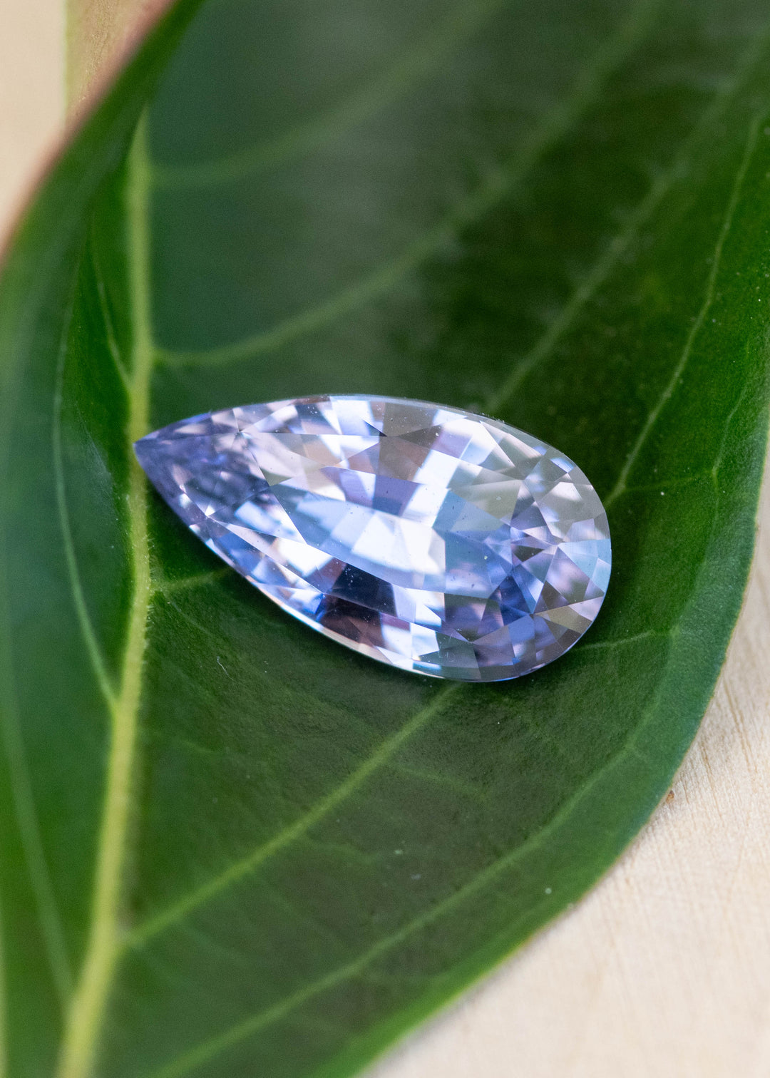 Lavender pinkish purple sapphire resting on a green leaf showing color, brilliance, and precision pear cut from Madagascar.