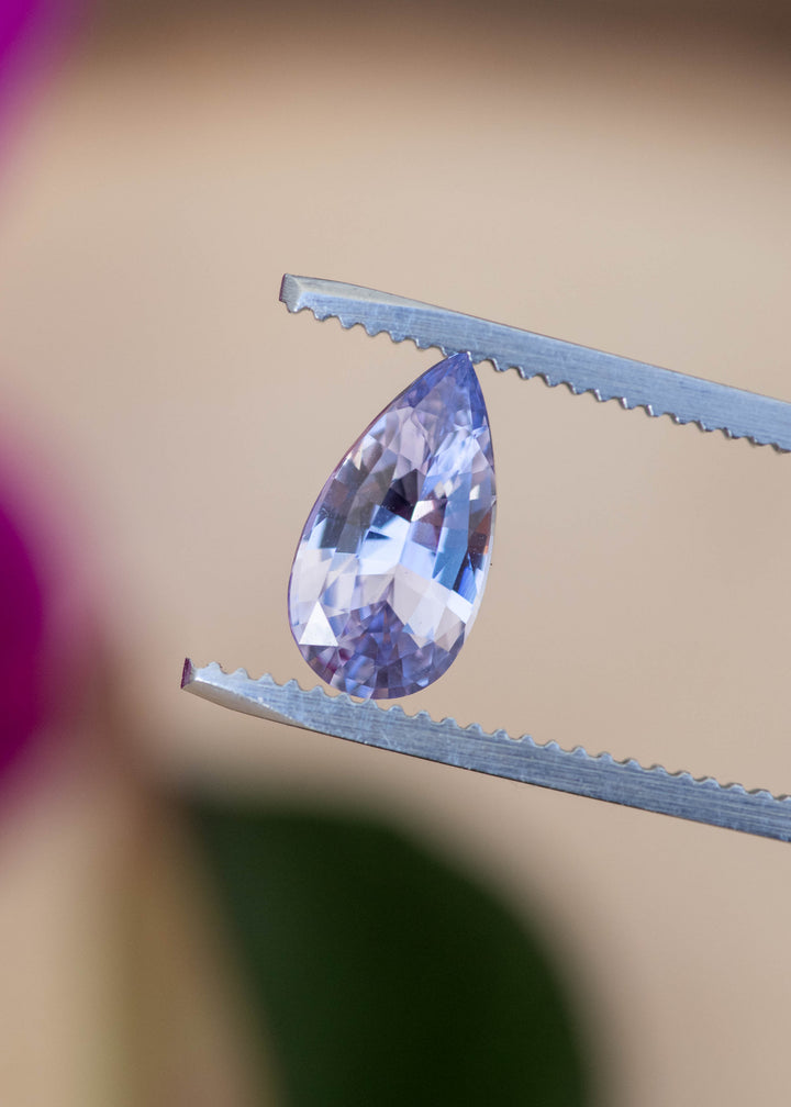 Precision pear cut lavender pinkish purple sapphire held in tweezers highlighting brilliance and natural color from Madagascar.