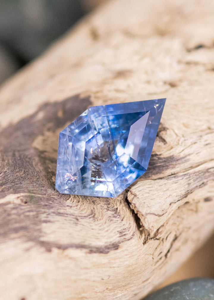 Blue and white Montana sapphire in tablet shield cut resting on weathered driftwood; elongated geometric shape with strong blue color concentrated along one side and translucent white zoning through the center, showing internal inclusions and layered color bands.