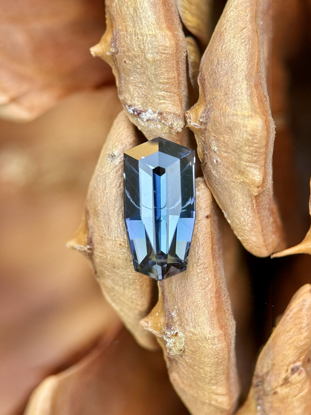 Custom shield step cut tanzanite in teal, blue, and purple tones placed on natural pinecone – 2.13 carats, Merelani Hills origin.