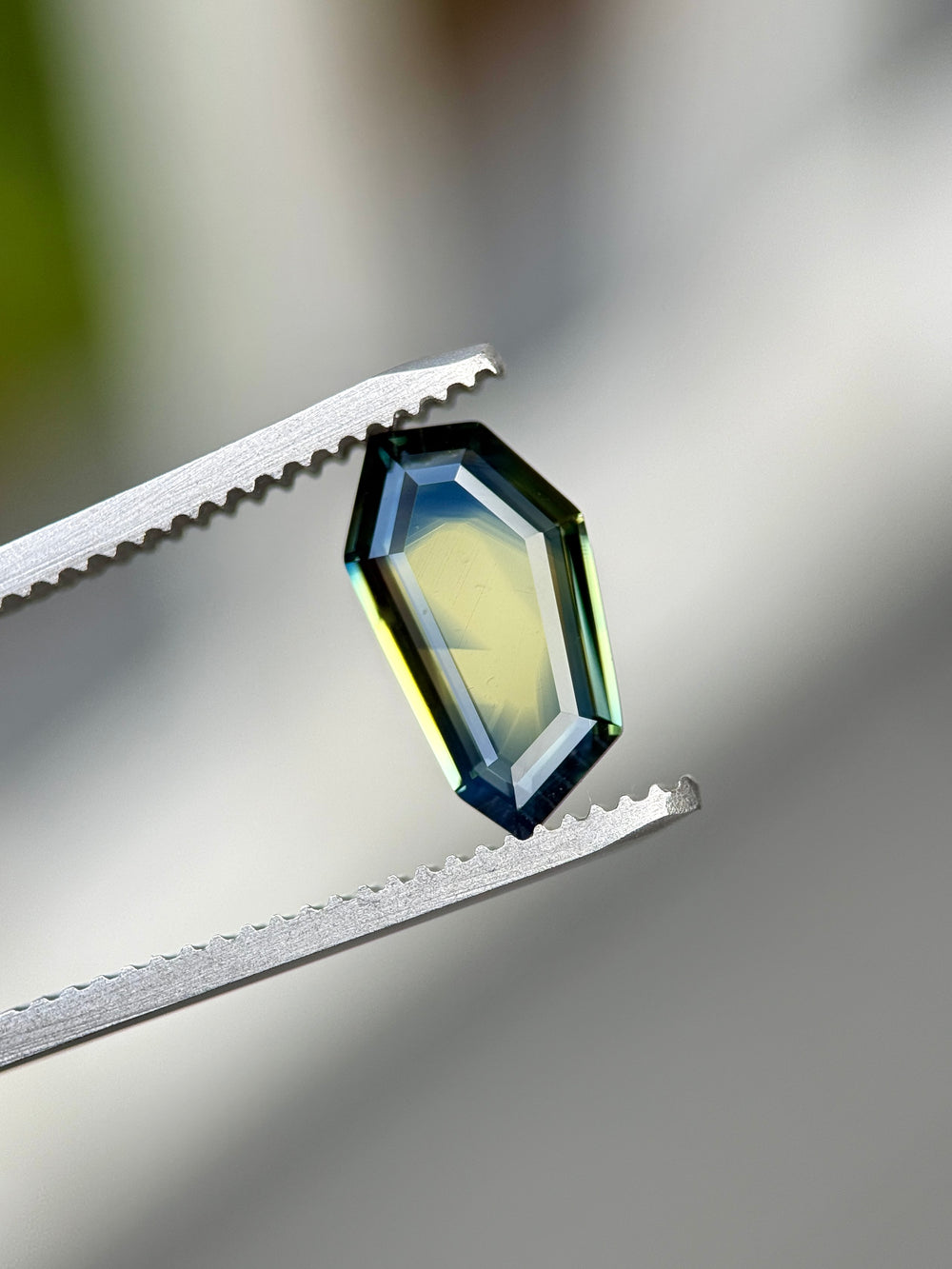 Crystal held between tweezers on a gradient background
