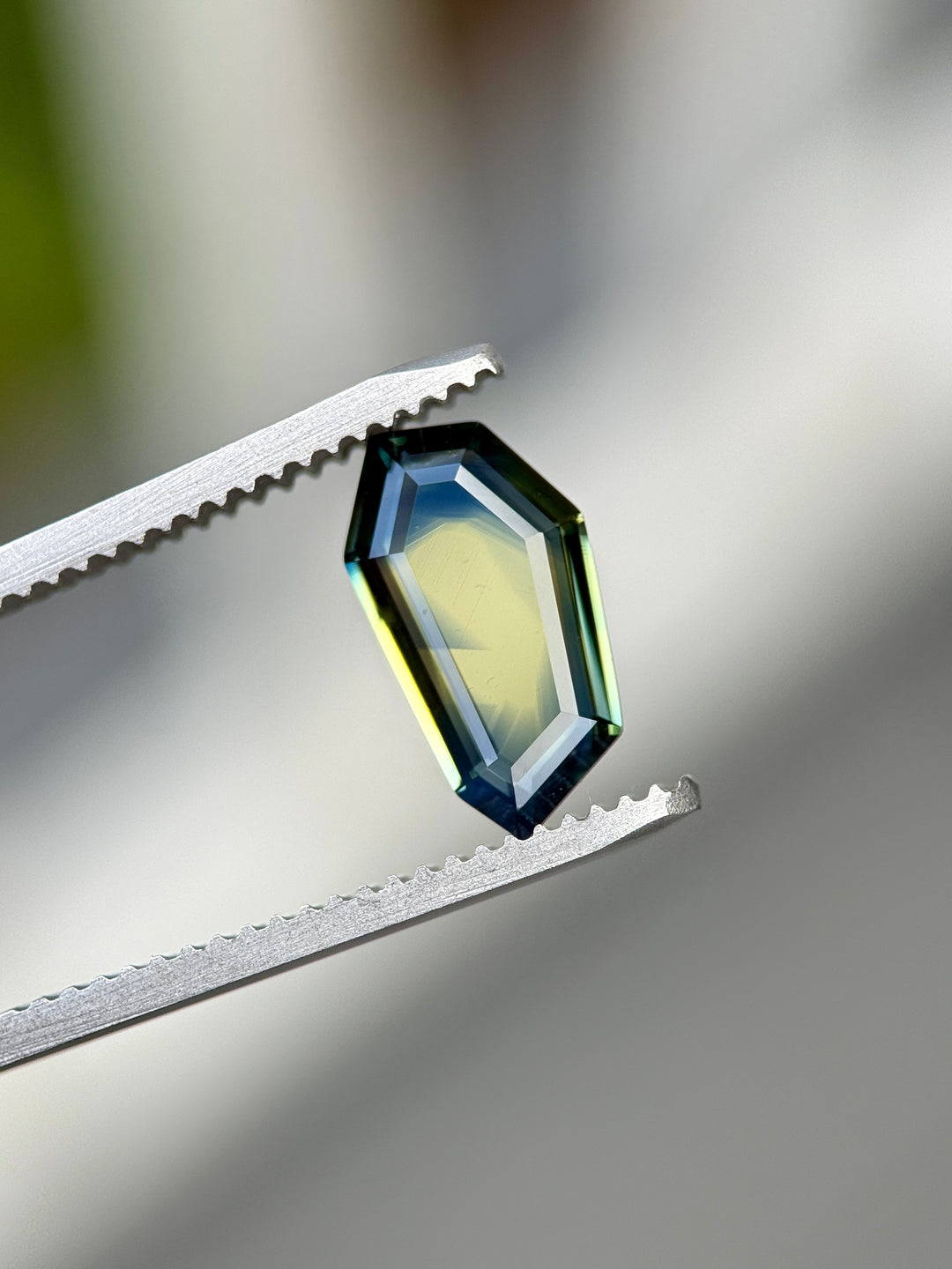 Crystal held between tweezers on a gradient background