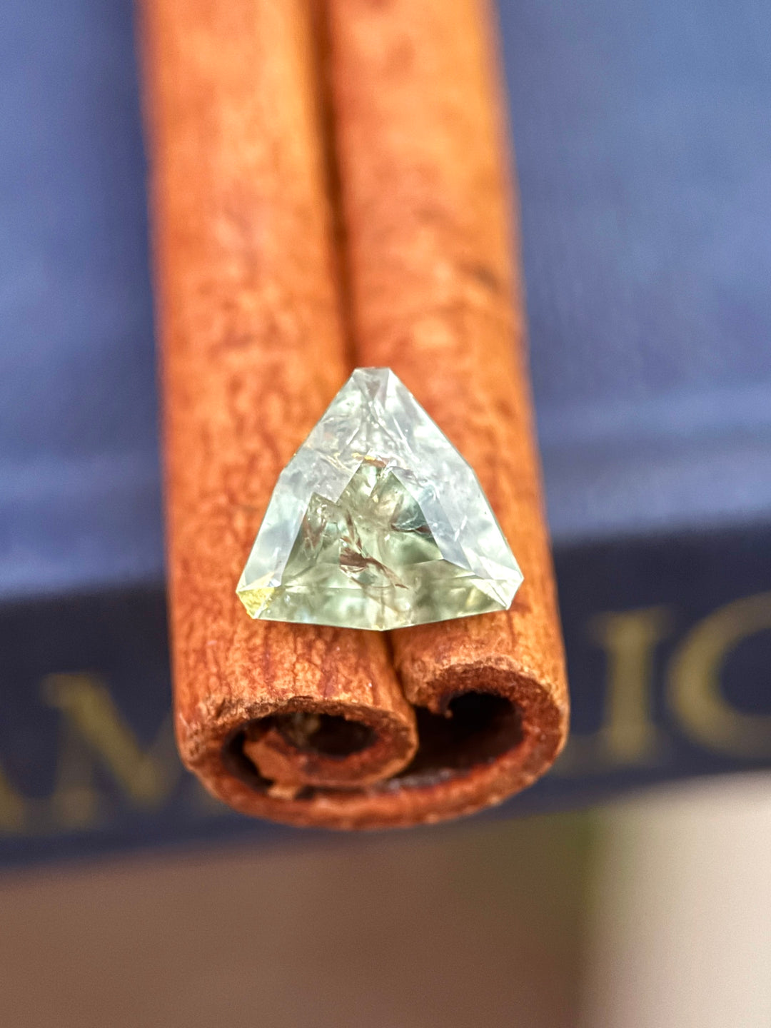Unheated Montana sapphire trillion cut displayed on cinnamon sticks, highlighting yellow-green and teal hues, geometric faceting, and natural internal characteristics.