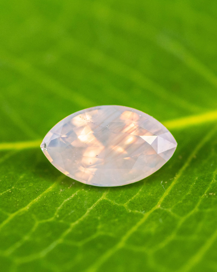 Macro photo of 2.18CT opalescent peach gray sapphire resting on a green leaf, showing pastel hues and reflective facets of its precision marquise mixed cut, unheated sapphire from Ratnapura, Sri Lanka.
