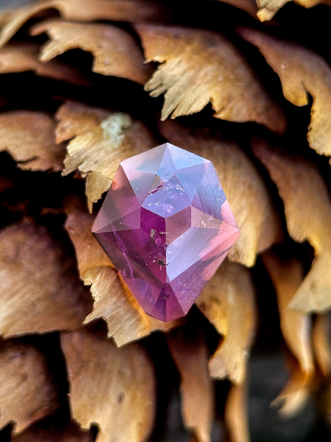 A captivating 2.38-carat sapphire in mulberry purple with a custom shield rose cut, displayed on a natural pinecone background.