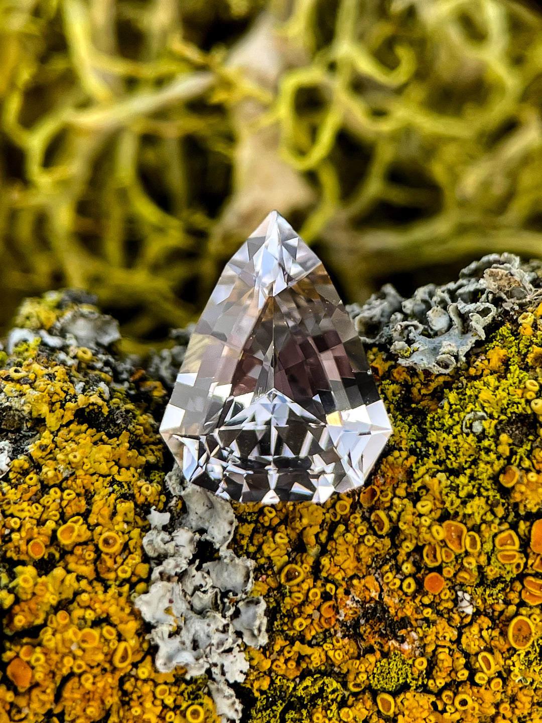A 2.44-carat unheated sapphire with a custom modified shield cut, displaying a stunning color shift from pale lavender to pale blue. Ethically sourced from Sri Lanka, resting on a vibrant natural lichen background.