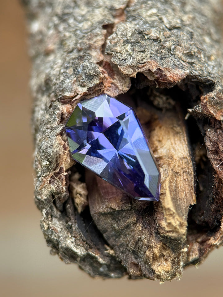 2.47 carat Tanzanite resting inside a tree bark, showcasing vivid mermaid tones of greenish blue and purple in a custom shield mixed cut, untreated natural gemstone from Merelani Hills, Arusha, Tanzania.
