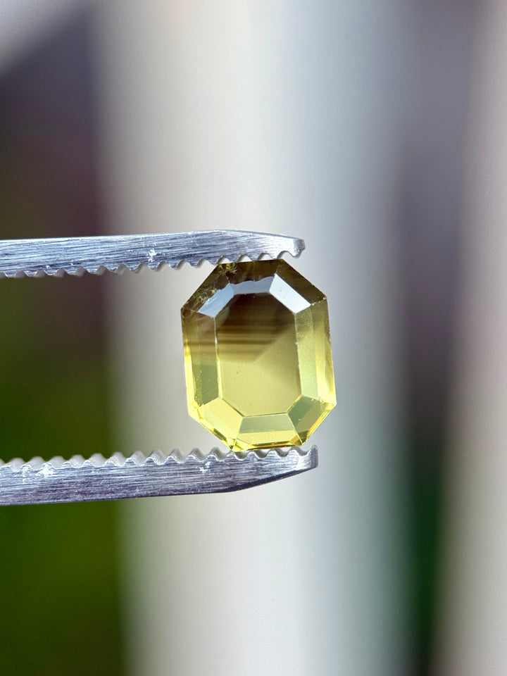 Loose parti sapphire held in gem tweezers showing off unique color zoning between vibrant yellow and brown/grey tone