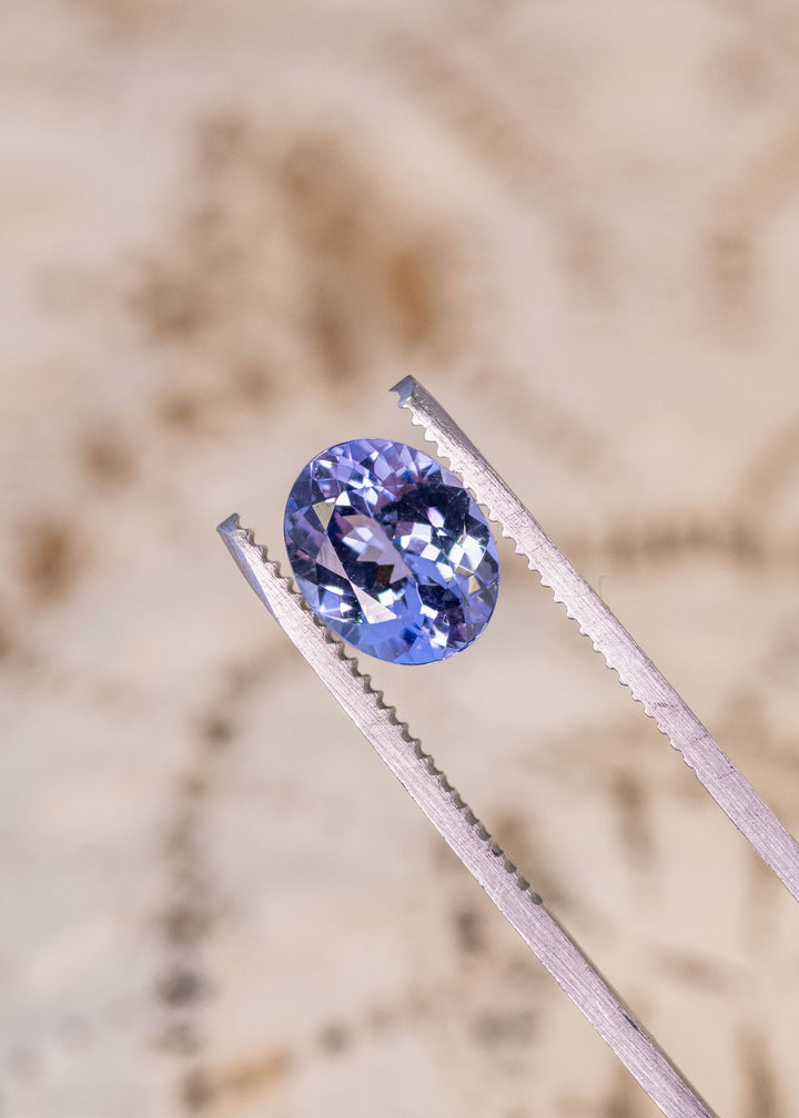 Loose 2.50ct oval Tanzanite held in gem tweezers displaying powder blue lavender violet hues and brilliant sparkle for custom jewelry design