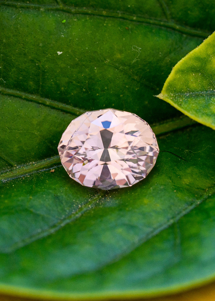 2.50 carat untreated peach blush pink sapphire resting on a deep green leaf, showing its softly geometric oval outline and pale pink-peach brilliant faceting.