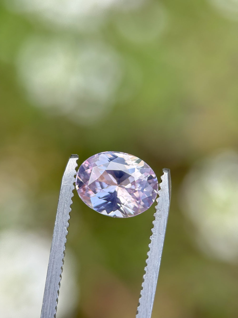 Close-up of a 2.52-carat opalescent pink sapphire in a mix oval cut, held in gemstone tweezers with a green natural background.