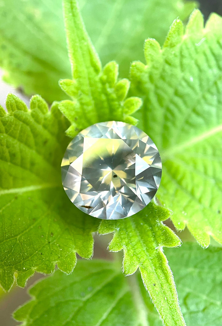 Round brilliant 2.53-carat Fancy Gray diamond resting on a fresh green leaf, highlighting its radiant facets and deep gray tones, origin South Africa.