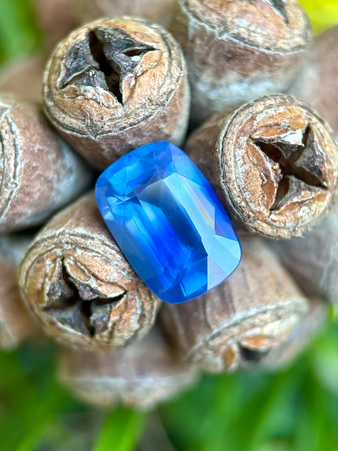 2.53 carat opalescent cornflower royal blue parti sapphire shown face-up, displaying elongated cushion cut faceting and natural blue color zoning from Ratnapura, Sri Lanka.