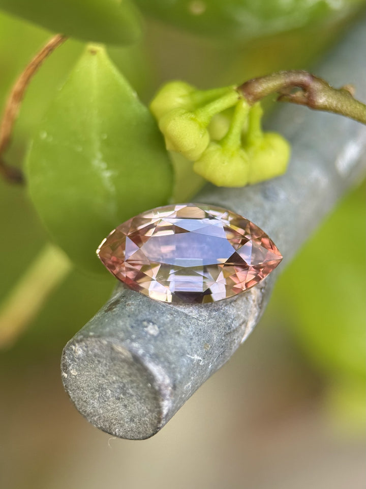 2.57ct peach pink rose-champagne sapphire in a precision marquise mixed cut resting on a natural branch outdoors, showing its warm color zoning and facet brilliance; ethically sourced sapphire from Sakaraha, Madagascar.