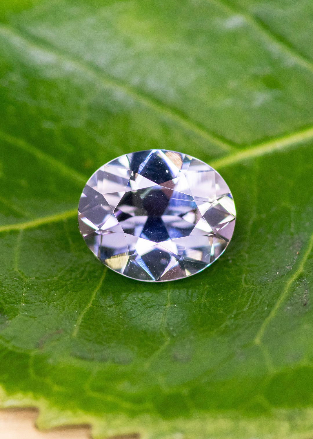 2.57 carat natural Tanzanite photographed on a green leaf, showing a slightly subdued teal blue and lavender color blend in a custom modified brilliant oval cut from Merelani Hills, Tanzania, untreated